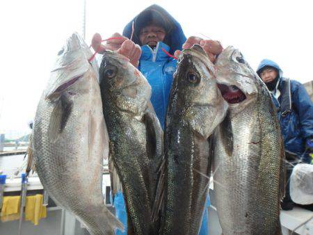 美里丸 釣果