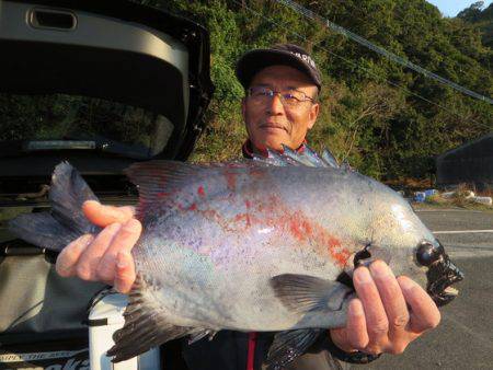 千津丸 釣果