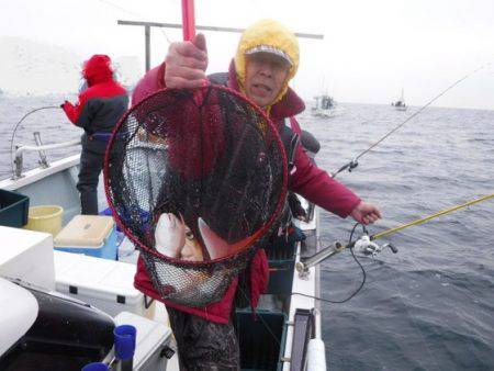 遊漁船 幸友丸 釣果