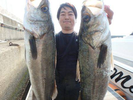 美里丸 釣果