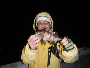 はたの屋 釣果