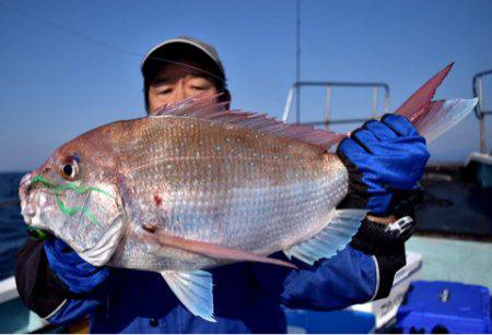 渡船屋たにぐち 釣果