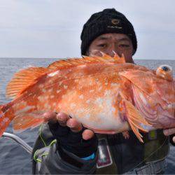 渡船屋たにぐち 釣果