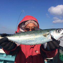 丸万釣船 釣果