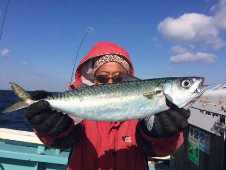 丸万釣船 釣果