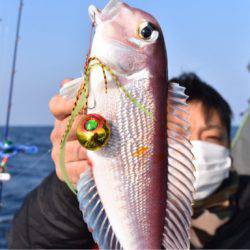 渡船屋たにぐち 釣果