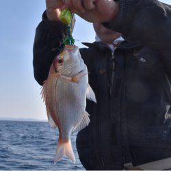 渡船屋たにぐち 釣果