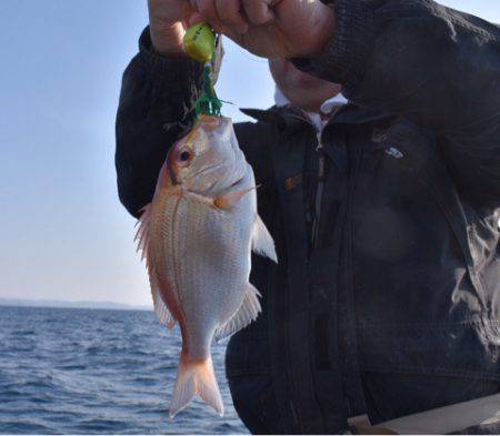 渡船屋たにぐち 釣果