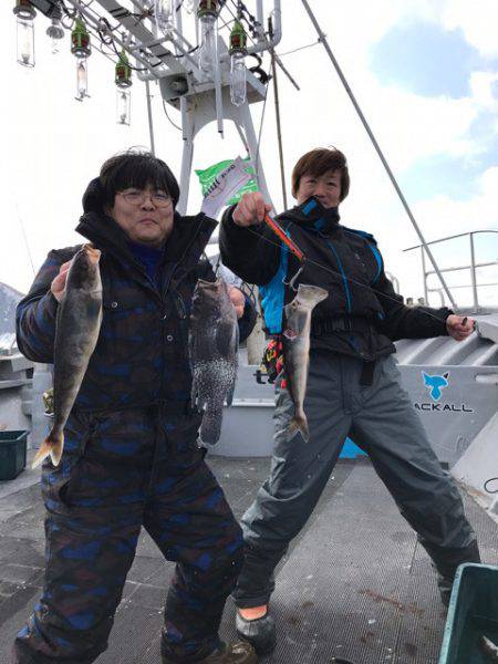 シーランチ 釣果