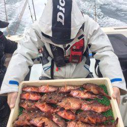 釣人家 釣果