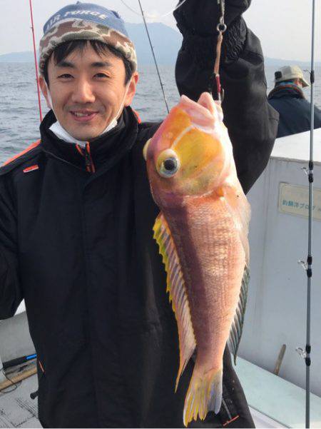 釣鯛洋 釣果