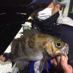 ヤザワ渡船 釣果