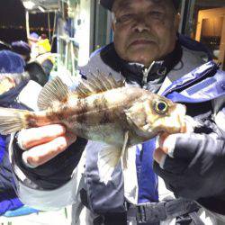 ヤザワ渡船 釣果