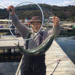 釣り堀水宝 釣果