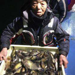 ヤザワ渡船 釣果