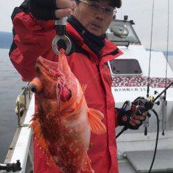 釣鯛洋 釣果