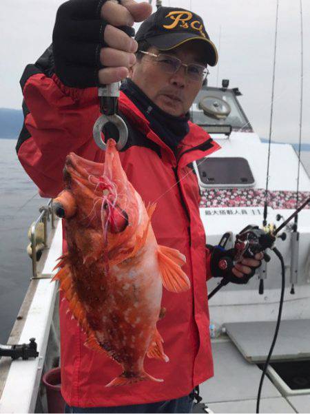 釣鯛洋 釣果