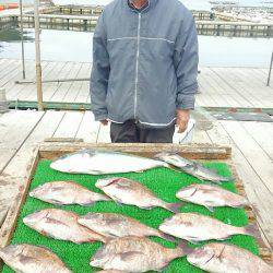 海の釣堀 海恵 釣果