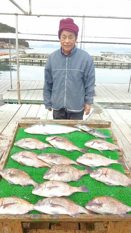 海の釣堀 海恵 釣果