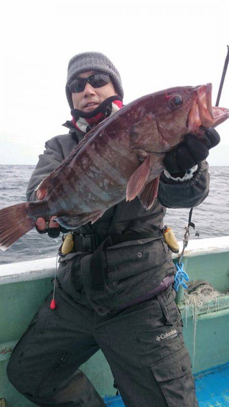 だて丸 釣果