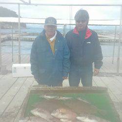 海の釣堀 海恵 釣果