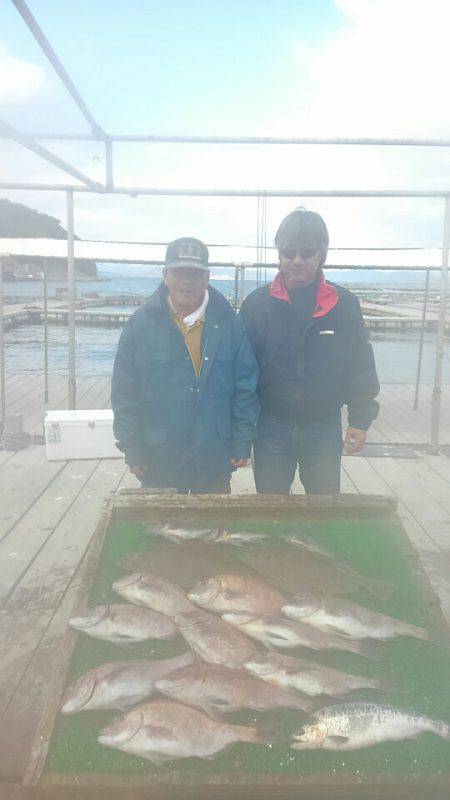 海の釣堀 海恵 釣果