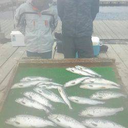 海の釣堀 海恵 釣果