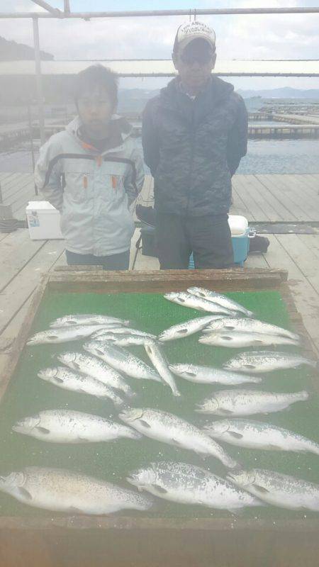 海の釣堀 海恵 釣果