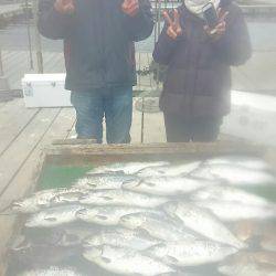 海の釣堀 海恵 釣果