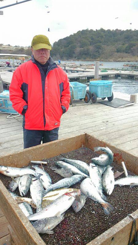 海の釣堀 海恵 釣果