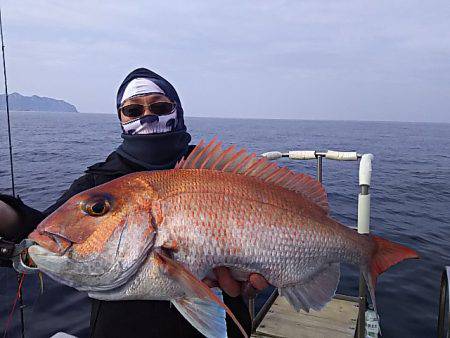 光生丸 釣果