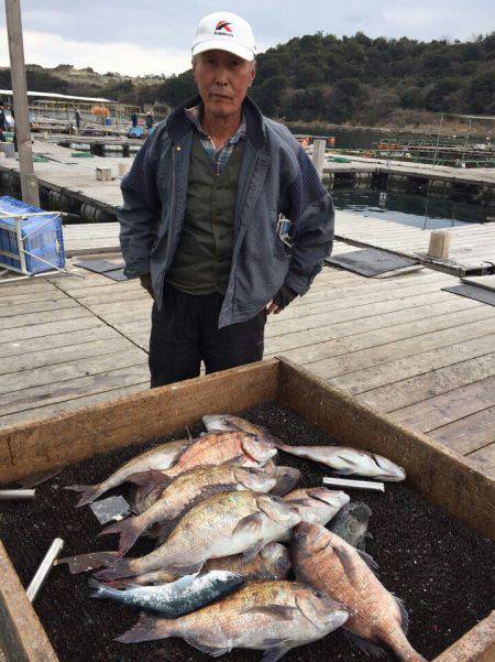 海の釣堀 海恵 釣果