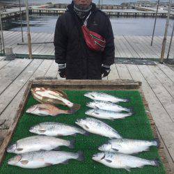 海の釣堀 海恵 釣果