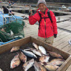 海の釣堀 海恵 釣果