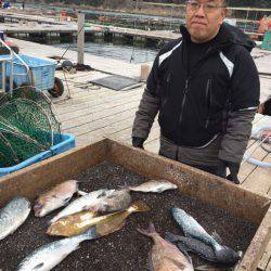 海の釣堀 海恵 釣果