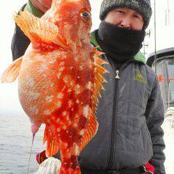 ブルースフィッシングサービス 釣果