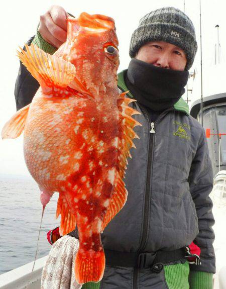 ブルースフィッシングサービス 釣果