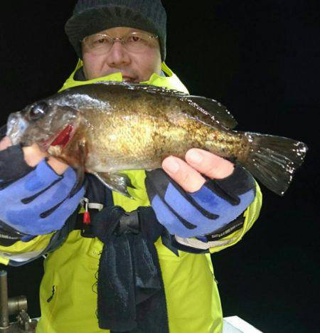 小島丸 釣果