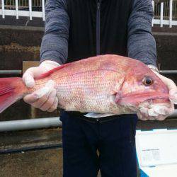 だて丸 釣果