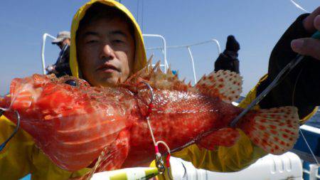 阿波哲 釣果