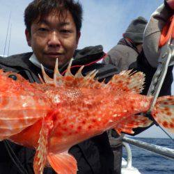 阿波哲 釣果