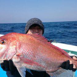 だて丸 釣果