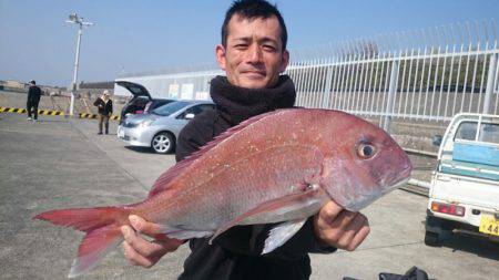 だて丸 釣果