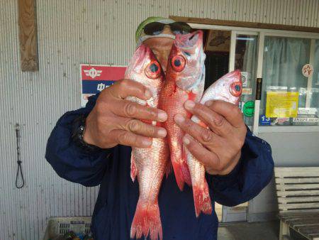 丸万釣船 釣果