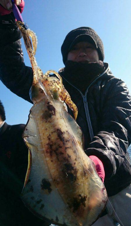 シースナイパー海龍 釣果