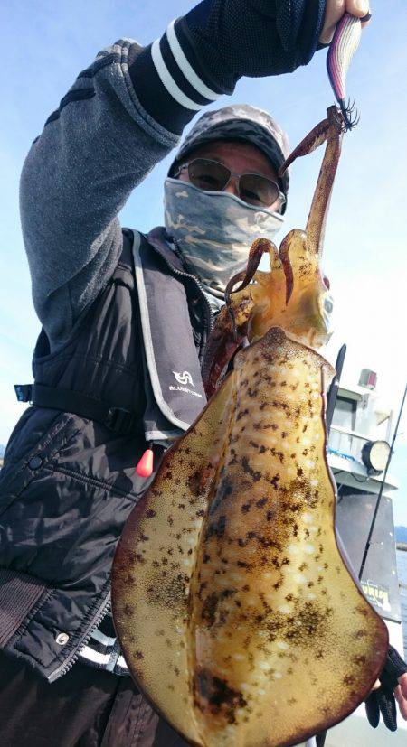 シースナイパー海龍 釣果