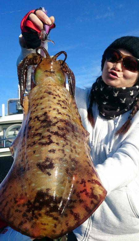 シースナイパー海龍 釣果