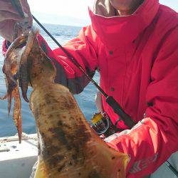 シースナイパー海龍 釣果