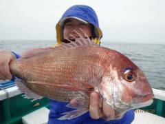 増福丸 釣果