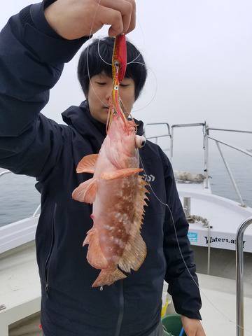 遊漁船　ニライカナイ 釣果